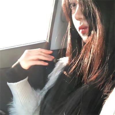 公园路的猫们
